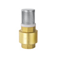 Brass horizontal check valve